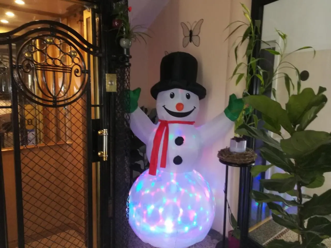 Hotel Virgina Parigi